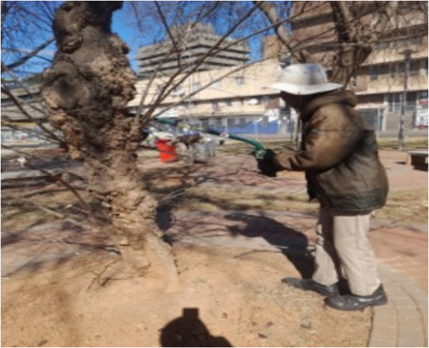 Park Adoption Security & Maintenance
